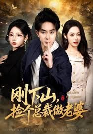 刚下山捡个总裁做老婆